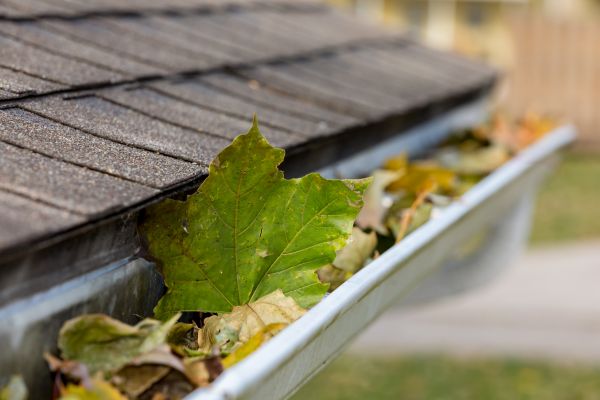 Commercial Downspout Cleaning in Peachtree City