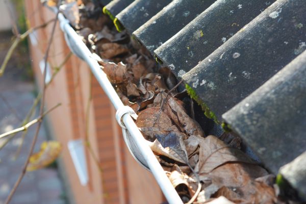 Home Gutter Cleaning in Peachtree City