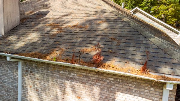 Gutter Pine Needle Removal in Peachtree City