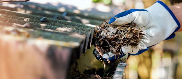 Pine Needle Gutter Cleaning in Peachtree City