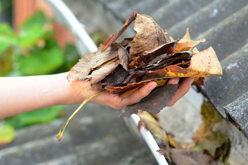 Gutter Leaves Removal detail