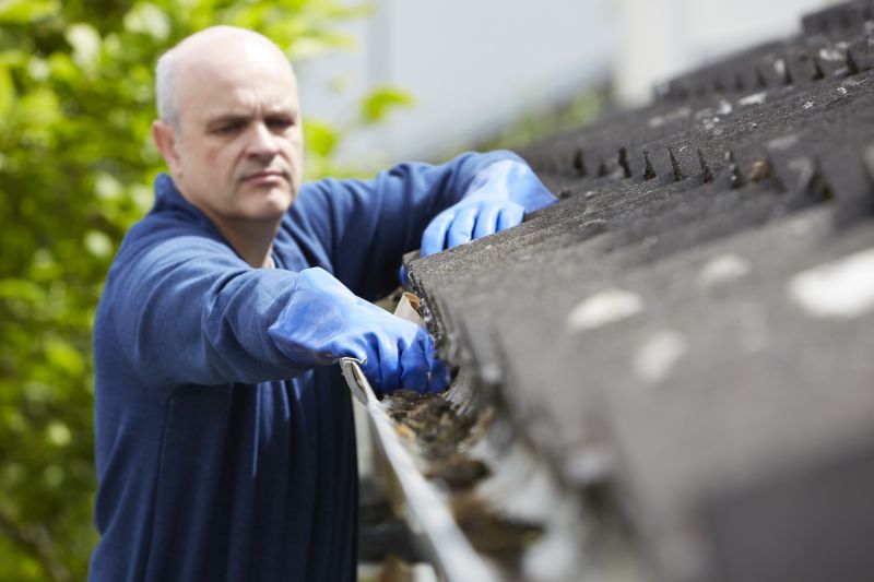 Exterior Gutter Cleaning