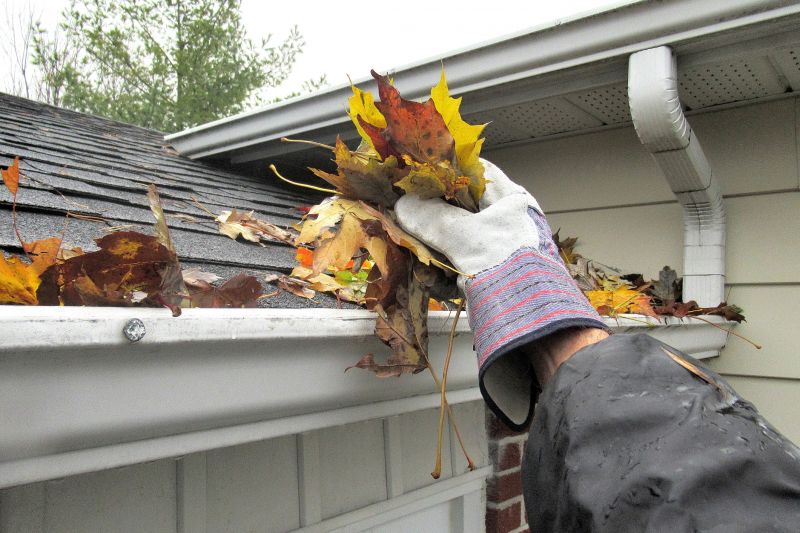 Clogged Gutter Debris