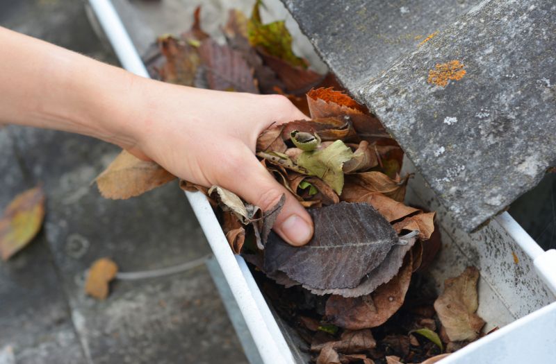 Rain Gutter Maintenance